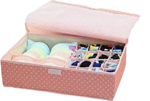HOUSE OF QUIRK Fabric Innerware Organizer Storage Box Innerwear, Pink ...