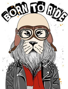 Born To Ride Art Wall Poster Without Frame Paper Print - Quotes ...