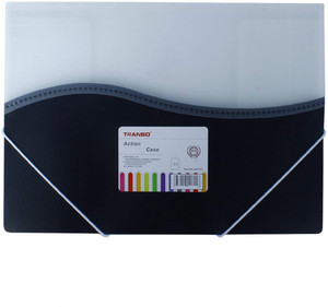 Flipkart.com | TRANBO Plastic Action Case File Folders for Documents ...