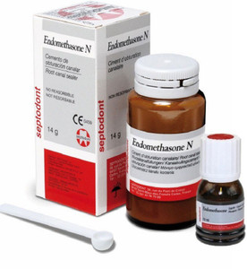 Septodont ENDOMETHASONE N ROOT CANAL SEALER POWDER Teeth Whitening Kit ...