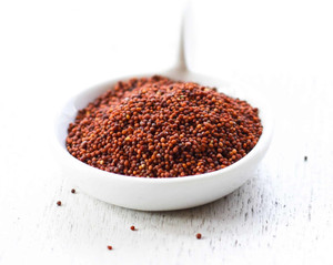 BANRUJJEDER ORCHID BAGAN PRIVATE LIMITED Red Mustard Seeds (Small ...