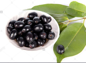 LushGreen Jamun Plant Price in India - Buy LushGreen Jamun Plant online ...