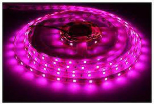 SURYA CIRCUIT 3000 LEDs 20.02 m Pink Steady Strip Rice Lights Price in ...