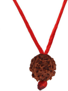 LAB CERTIFIÉ 7 Mukhi RUDRAKSHA Saatmukhi Rudraksh 7 Face