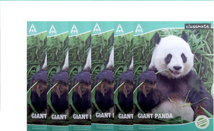 Classmate Stationery A4 Notebook SL(24x18) 172 Pages Price in India ...