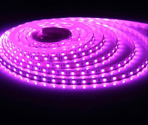 JACKAL 300 LEDs 5 m Pink Steady Strip Rice Lights Price in India - Buy ...