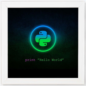 Python - Education White Framed Wall Hanging Art Print for Office ...