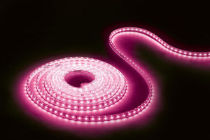 PHILIPS 360 LEDs 4.98 m Pink Steady Strip Rice Lights Price in India ...