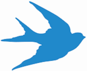 TO-HIT Sticker & Decal for Car & Bike Price in India - Buy TO-HIT ...