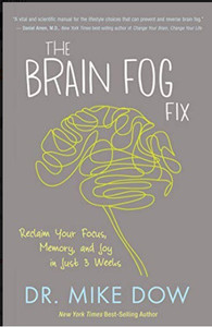 The Brain Fog Fix Reclaim Your Focus Memory And Joy In Just 3 Weeks