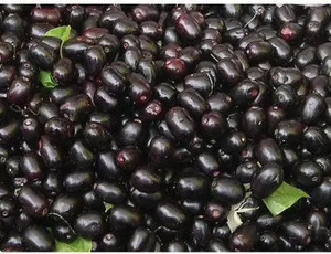 MAA Black Plum, Kala Jamun, Java Plum Seed Price in India - Buy MAA ...