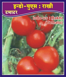 Indous Agriseeds Tomato Seeds Seed Price In India Buy Indous