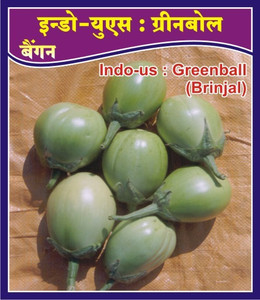 Indous Agriseeds Brinjal Seed Price In India Buy Indous Agriseeds