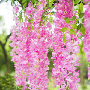 well art gallery Realistic Artificial Silk Wisteria Vine Ratta Silk ...