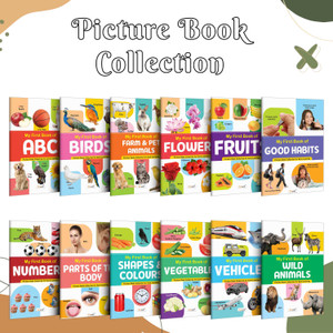 My First Picture Book Collection For Early Learning : With 12 Topics ...