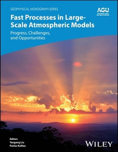 Fast Processes in Large-Scale Atmospheric Models: Buy Fast Processes in ...