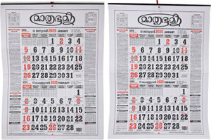 EXCEL IMPEX Mathrubhumi Calender 2025 2025 Wall Calendar Price in India ...