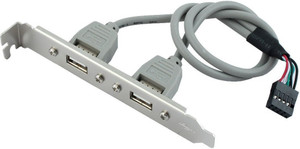 Paruht 1) 2 Port USB 2.0 Cable Converter 9 pin Motherboard Rear Panel ...