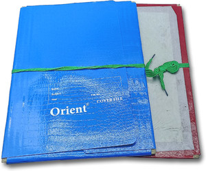 Embossed File Board Flipkart.com | CRAFTWAFT Orient Crocodile Embossed Thick Paper Board ...