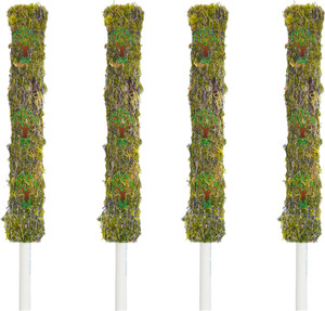 Dr Arya Moss Stick 1.5 feet Set of 4 Garden Mulch Price in India - Buy ...