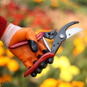 thumbnail image 2 of Pruner Holster Bahco Leather Holster - Fits Pruners & Folding Saws... 2 of 10