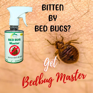 BhuLife Bitten by Bed Bugs Get Treatment of Bedbug Done by YourSelf ...