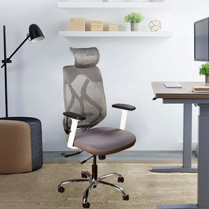 MAESTRO High Back Ergonomic Office Chair with Height Adjustable Armrest ...