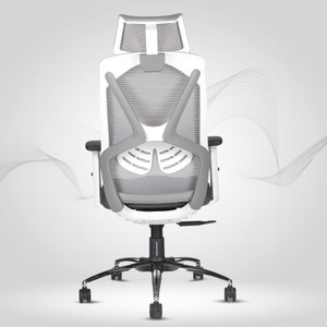 HUMAN METHOD SIENA PRO High Back Ergonomic|2DArms|Multi Lock|Adj ...