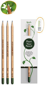 Flipkart.com | Third Eye Eco Friendly Seed Pencils |Grow Plants from ...