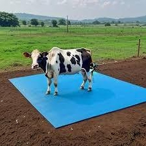 COW BED Cow Mat, Mat for Cow, Buffalo, Bull, Rubber Mat for Animal Cow ...