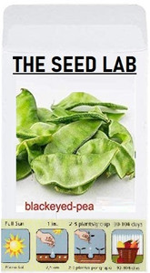 CYBEXIS Organic Vegetable Seeds-Blackeyed Pea/Samefali/Flat Beans200 ...