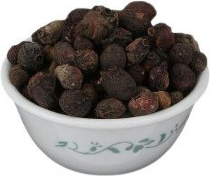 BHARAT JADI BOOTI Jamun Seeds Guthli - Syzygium Cumini - Black Plum ...