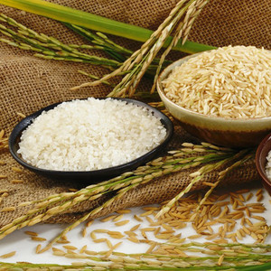 SREE Basmati Paddy, Rice Seed for Farming & Agriculture, 1Kg Per Packet ...
