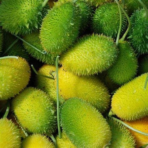 VibeX Summer Vegetable Spine Gourd, Kankoda Boda kakara[100 Gms, 500 ...