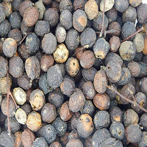 BHARAT JADI BOOTI Bakayan Phal - Bakain Fal - 100% Natural & Sun-Dried ...