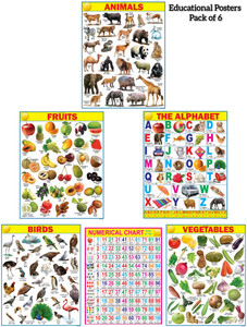 Kids Educational Learning Chart & Poster (6 Chart) 45x60cm Large Size ...