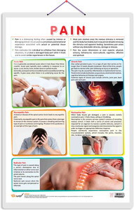 PAIN chart | Understanding Pain: Comprehensive Pain Chart for Medical ...