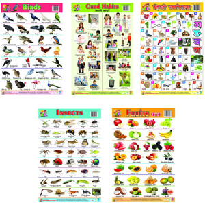 Combo of 5 Learning Charts Birds | Fruits | Good Habits | Hindi ...