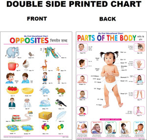 CMC Both Side Printed Parts Of Body & Opposites Charts - Early Learning ...