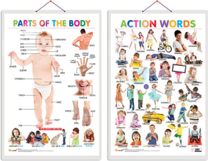 Set of 2 Parts of the Body and Action Words Early Learning Educational ...