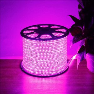 Lumiore 6000 LEDs 50 m Pink Steady String Rice Lights Price in India ...