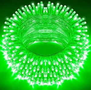 Perikam 40 LEDs 13 m Green Steady String Rice Lights Price in India ...
