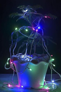 Kingdom 126 LEDs 23 m Multicolor Flickering String Rice Lights Price in ...