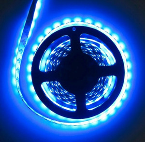 CANDLE 240 LEDs 4 m Blue Steady Strip Rice Lights Price in India - Buy ...