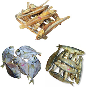 AL-HAQQ Nethili | Anchovy + Silver Belly | Mullan + Sardine |Chala ...