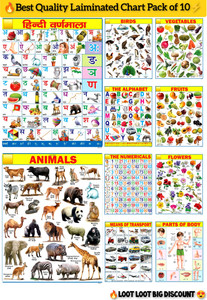 JANIL Educational ABCD Chart for kids, Educational English & Hind8 ...
