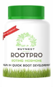 BUY NEST ORGANIC ROOTPRO ROOTING HORMONE FOR FAST ROOTS GROWTH ...