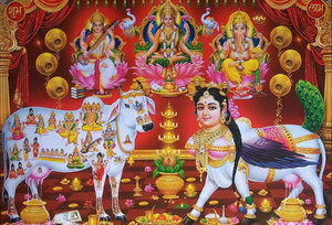 Religious Cow Online Collection 18 inch hindu religious Kamdhenu Cow with krishna ...