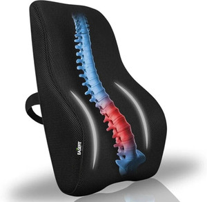 EASEFIT Back Rest Cushion for Office Chair & Car Lumbar Back / Lumbar ...