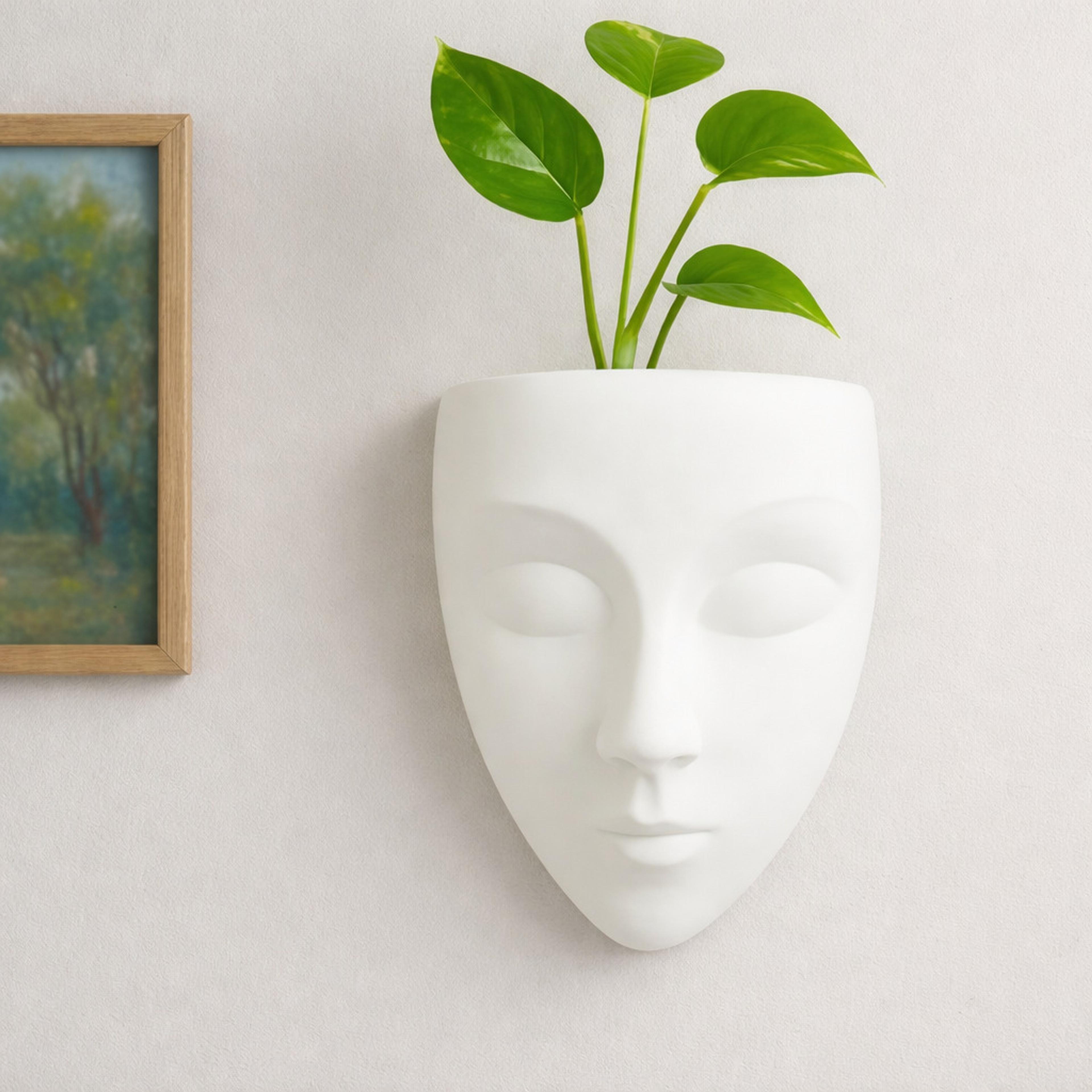 D2N Face Planter | Unbreakable | Modern Planter For Home / office / Home Plastic Vase - 87% off at DetectaDeal